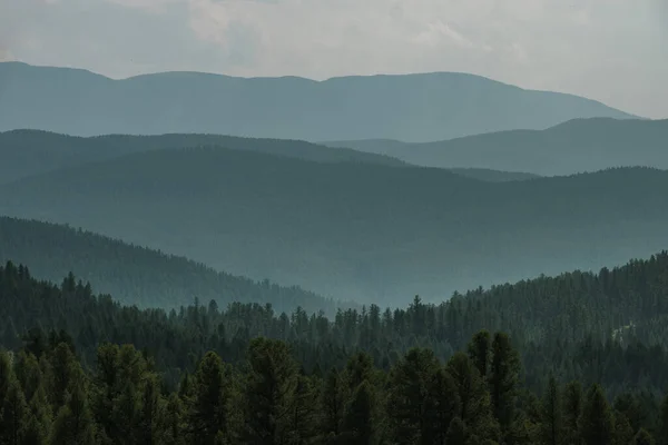 Belas Árvores Nas Encostas Das Montanhas Área Ulagan República Altai — Fotografia de Stock