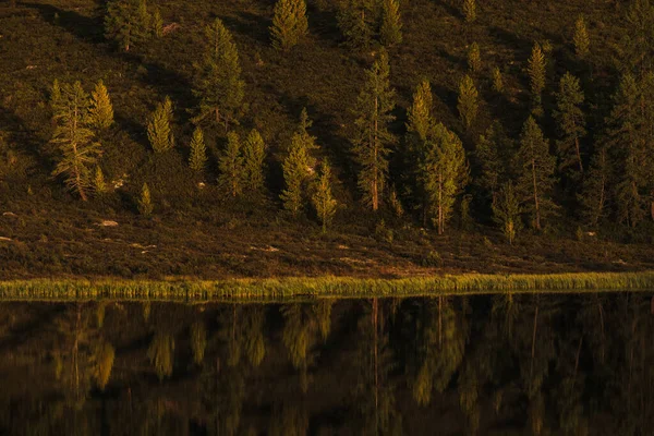 Vista Los Lagos Montaña Zona Ulagan República Altai —  Fotos de Stock