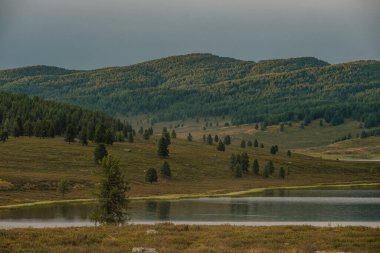 Altai Cumhuriyeti 'nin Ulagan bölgesindeki dağ göllerinin manzarası.