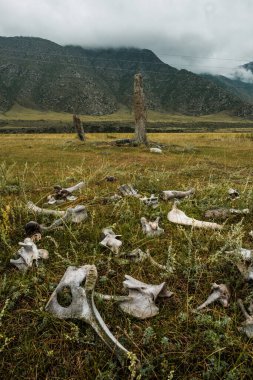 Altai Cumhuriyeti 'ndeki Chuisky Trakt' tan güzel bir dağ manzarası..