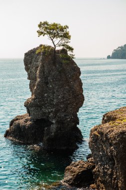 İtalya 'nın Ligurian kıyısındaki Portofino köyü 