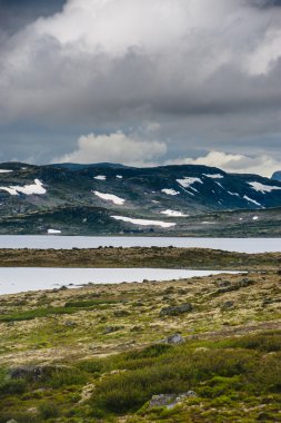 Yaz güzel Norveç manzaraya