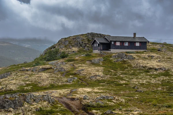 The Beautiful Norway landscape at summer — Stock Photo, Image