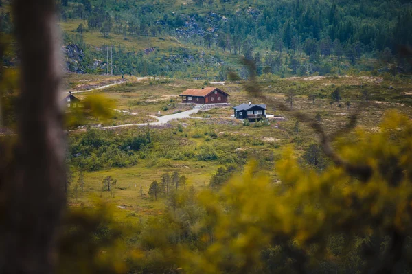 Красиві Норвегії краєвид на літо — стокове фото