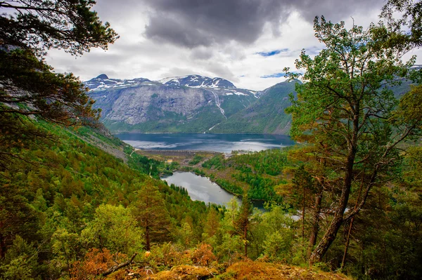 Η άποψη του καλοκαίρι του Trolltunga σε Odda, λίμνη Ringedalsvatnet, Νορβηγία — Φωτογραφία Αρχείου