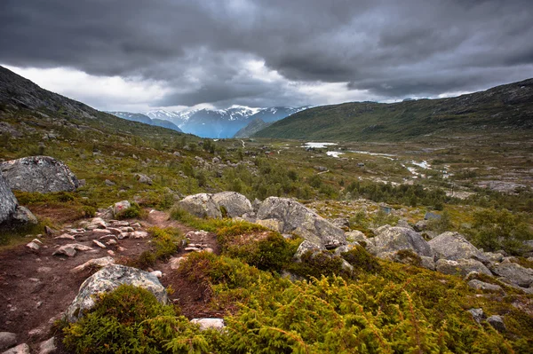 Letní pohled Trolltunga v Odda, Ringedalsvatnet jezero, Norsko — Stock fotografie