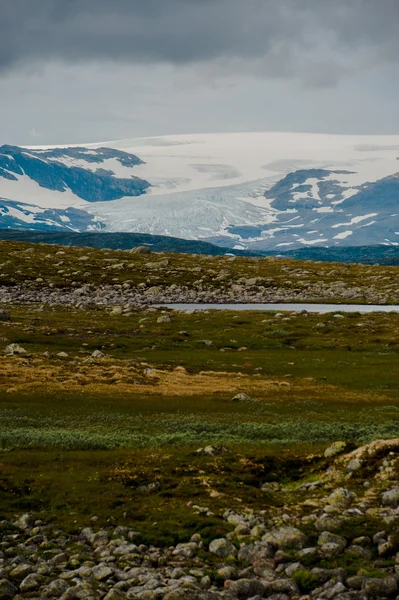 Il bellissimo paesaggio norvegese in estate — Foto Stock