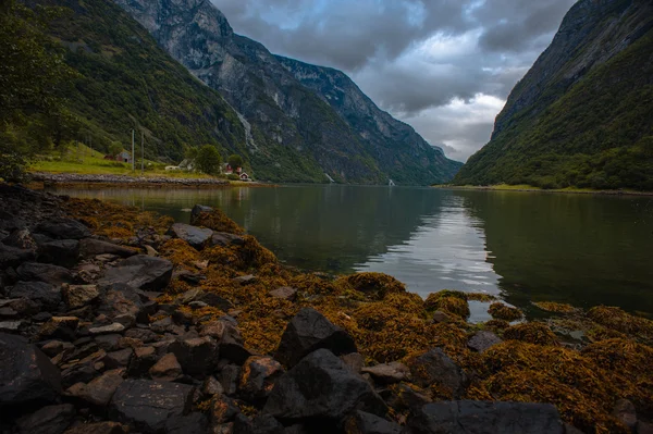 Krajina krásná Norsko na léto — Stock fotografie