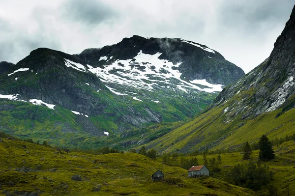 Il bellissimo paesaggio norvegese in estate — Foto Stock