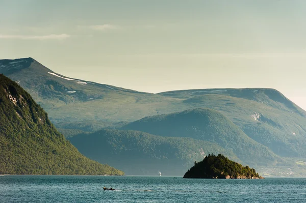 El hermoso paisaje de Noruega en verano —  Fotos de Stock