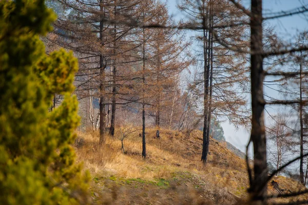 Primavera sulla Circum-Baikal Road a sud del lago Baikal — Foto Stock