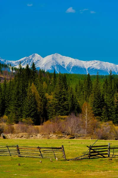 Beautiful spring landscape of the Western Sayan mountains — Stock Photo, Image