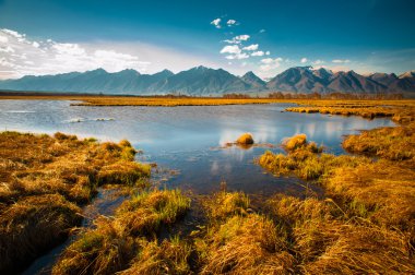 Güzel bahar manzara, Batı Sayan Dağları