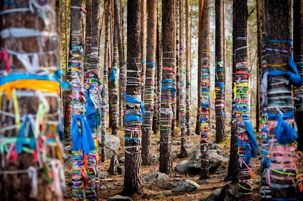 Datsan são mosteiros budistas na Rússia. República da Buryatia, Rússia — Fotografia de Stock