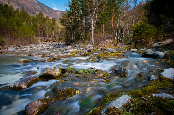 Arshan sulle montagne Sayan a Buriatya, Siberia - Russia — Foto Stock