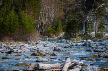 Arshan, Buriatya, Sibirya - Rusya Sayan dağlarda 