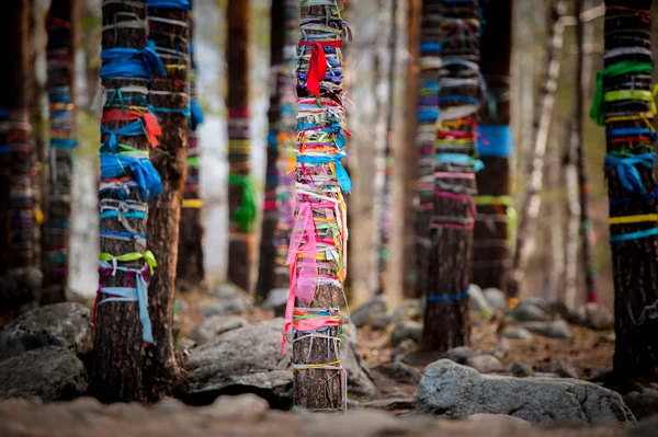 Datsan is Buddhist monasteries in Russia. Republic of Buryatia, Russia — Stock Photo, Image