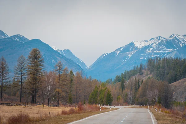 Beautiful spring landscape of the Western Sayan mountains — Stock Photo, Image