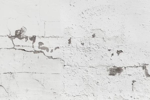 Cartera: eugenesergeev | Fotos, ilustraciones y arte vectorial de