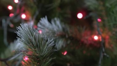 Yakın çekim dikey video dekore edilmiş Noel ağacı. Yeşil Noel ağacını ladin dalında kırmızı yuvarlak oyuncakla süslüyor.. 