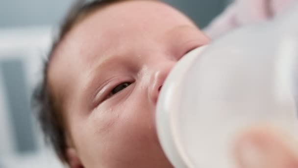 Blanke pasgeboren baby drinken moeders melk uit kleine plastic baby fles door middel van fopspeen. Portret peuter drinken verdund melkpoeder. Begrip moederschap en kindertijd. Close-up beelden. — Stockvideo