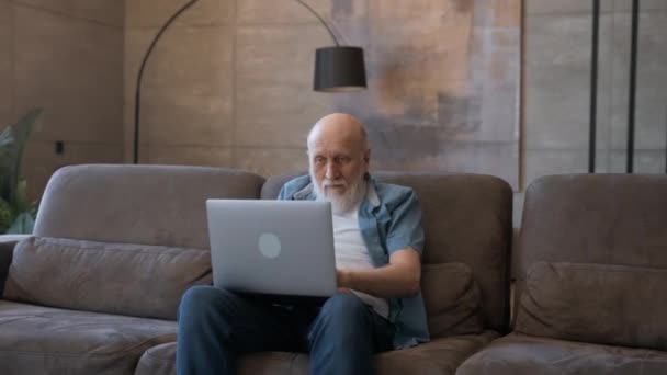 Emotions of winning in pensioner, winning in casino, winning in sports betting, winning in video game. Old grandpa, happy emotionally raising his hands up, looking at laptop screen, sitting on couch. — Stok video