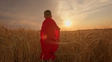 Kırmızı kahraman pelerinli mutlu sarışın çocuk güneş ışınları ve batan güneş ışınlarıyla çayır buğday tarlasından kaçıyor. Kaygısız bir çocukluk, özgürlük ve uçma hayali, çocuk oyunları. Arka plan çekimi.