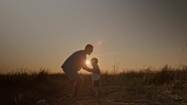 Ευτυχισμένη οικογένεια. Ο πατέρας πετάει τον γιο του. Οικογένεια στο χωράφι με το σιτάρι. Ο πατέρας πετάει το γιο του το ηλιοβασίλεμα. Χαρούμενη οικογενειακή ιδέα. Ο πατέρας κρατά τον μικρό γιο στην αγκαλιά του και τον πετάει στον ουρανό στο χωράφι με το σιτάρι.. — Αρχείο Βίντεο