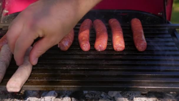 Mans mano pone deliciosas salchichas frescas crudas orgánicamente puras de cerdo en la parrilla caliente de barbacoa. Chef cocinero prepara salchichas en el panel de la parrilla barbacoa. Prepara la carne a los carbones. Comida fresca a la parrilla en el festival. — Vídeos de Stock