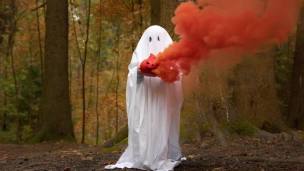 Enfant en costume fantôme de carnaval blanc pour la fête d'Halloween se promène à travers la forêt et tenant fumer zhdeka citrouille mal dans ses mains. Joyeux Halloween la Toussaint. Costume fantôme pour la fête. — Video