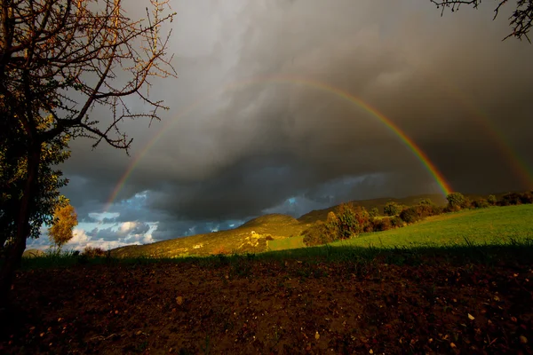 Arcs-en-ciel — Photo