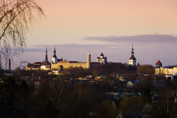 Velho Tallinn — Fotografia de Stock