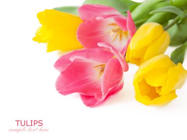 Beyaz arkaplanda güzel laleler, mesajınız için yeri olan tebrik kartı şablonu