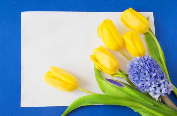 Gelbe Tulpen Auf Blauem Hintergrund Vorlage Für Grußkarte Mit Platz — Stockfoto