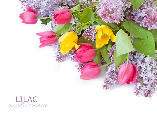 Flieder, Tulpen Blumenstrauß isoliert auf weißem Hintergrund — Stockfoto