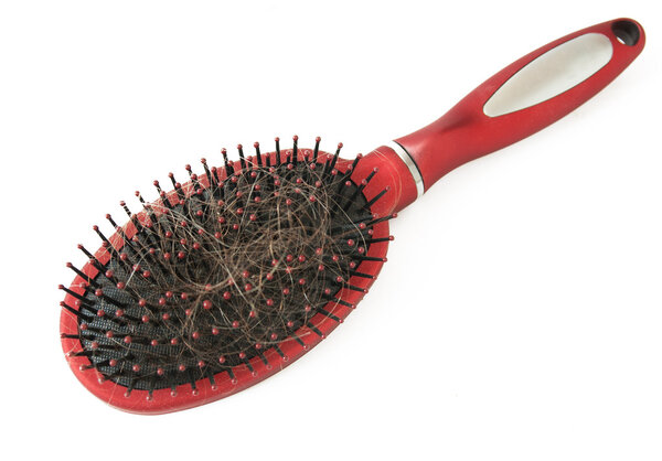 hair comb isolated on white background