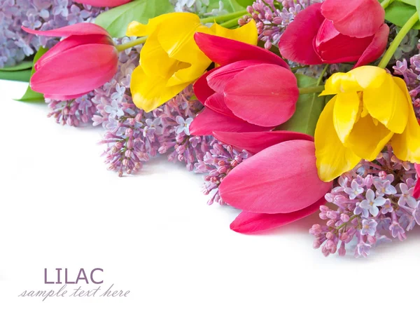 Lilac, tulips flowers bunch isolated on white background — Stock Photo, Image