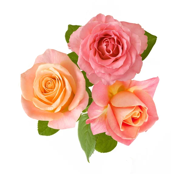 Gül çiçek demet izole üzerinde beyaz arka plan