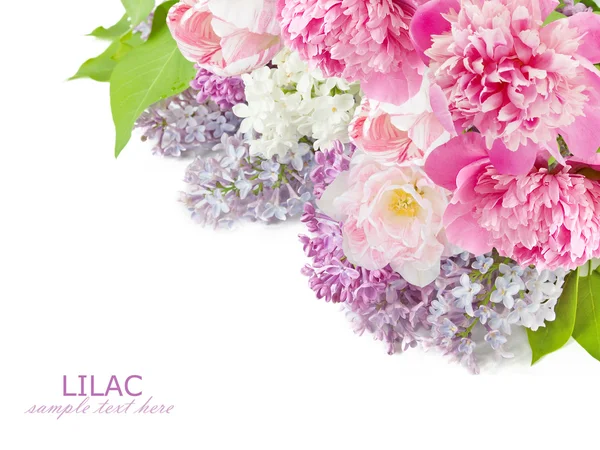 Красивий Букет Рожевих Квітів Ізольований Білому Тлі Стокове Фото