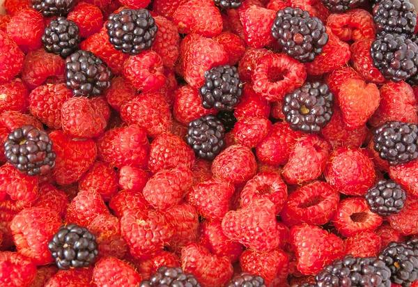 Top View Fresh Blackberries Raspberries Close — Stock Photo, Image