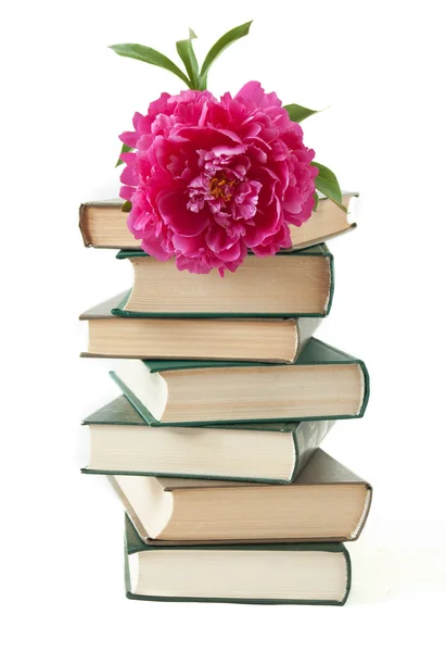 Stapel Von Büchern Und Blumen Auf Weißem Hintergrund — Stockfoto