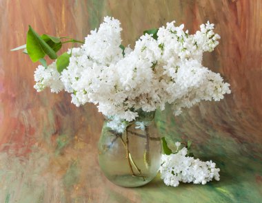 Güzel beyaz leylak çiçekleri cam vazoda, arka planda.