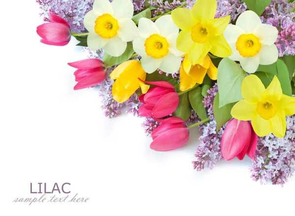 Frühlingsblumen Isoliert Auf Weißem Hintergrund Vorlage Zur Begrüßung Mit Platz — Stockfoto