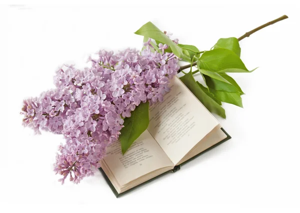 Ανοιχτό Βιβλίο Και Μοβ Λουλούδια Λευκό Φόντο — Φωτογραφία Αρχείου