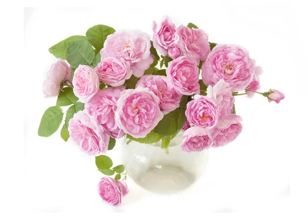 Beyaz arka planda cam vazoda güzel pembe güller.