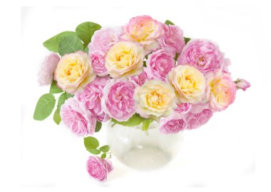 Beyaz arka planda vazoda güzel pembe şakayıklar.