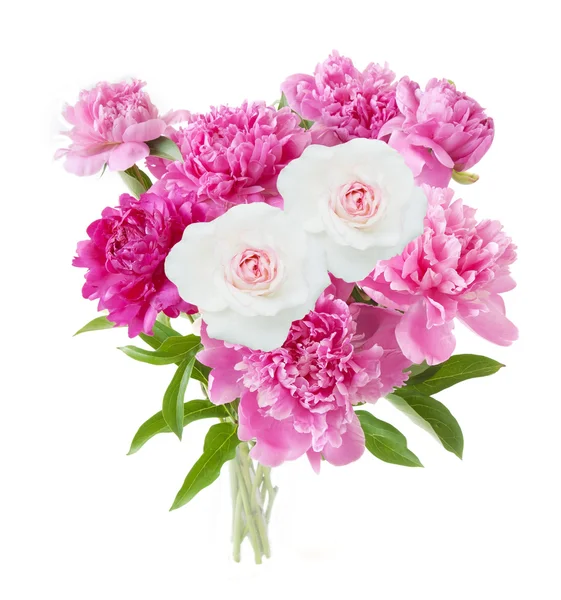 Roze Pioenroos Bloemen Geïsoleerd Witte Achtergrond — Stockfoto