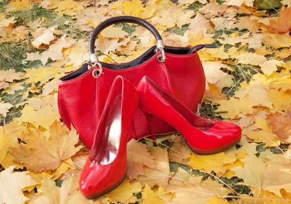 autumn shoes and a red handbag on fall leaves background