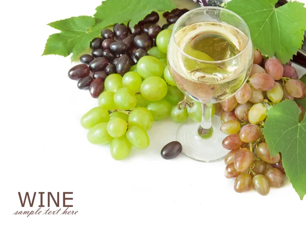 White and red wine in glasses, bottle and grapes with leaves isolated on white background — Stock Photo, Image