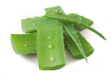 Beyaz zemin üzerinde su damlaları olan taze aloe vera